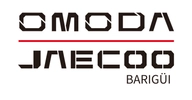 Logo da loja Omoda Jaecoo | Barigüi Blumenau, revenda de veículos usados e seminovos em Blumenau (SC)